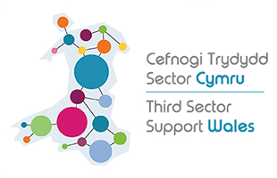 Third Sector Support